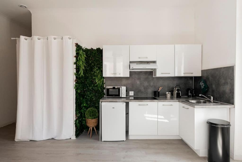 Charmant Studio Arbore Et Climatise Carcassonne Exterior foto