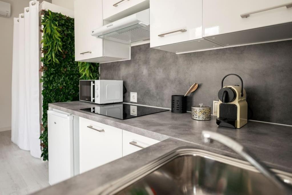 Charmant Studio Arbore Et Climatise Carcassonne Exterior foto